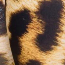 Carica l&#39;immagine nel visualizzatore di Gallery, Wholesale Miz Plus: Panther Fur Skin Animal Print 3D illusion Leggings XL
