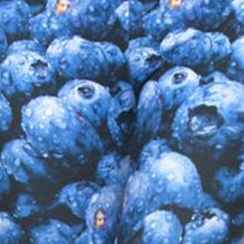 Ladda upp bild till gallerivisning, Wholesale 4 Pack: Stasia Berry Blue: Blueberry Fruity Food Graphic Leggings
